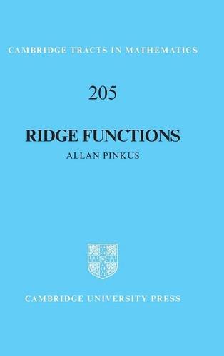 Ridge Functions [Hardcover]