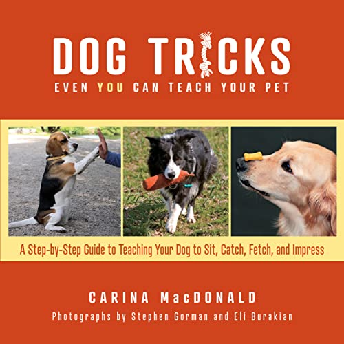 Dog Tricks Even You Can Teach Your Pet: A Step-by-Step Guide to Teaching Your Pe [Paperback]