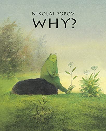 WHY?: A Timeless Story Told Without Words [Hardcover]