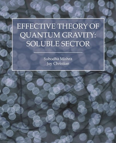 Effective Theory Of Quantum Gravity Soluble Sector [Paperback]