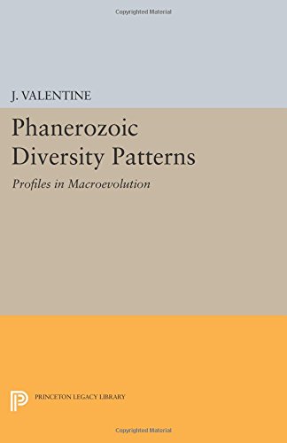 Phanerozoic Diversity Patterns Profiles in Macroevolution [Paperback]