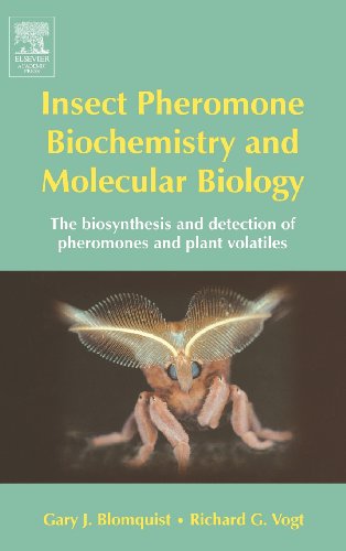 Insect Pheromone Biochemistry and Molecular Biology The Biosynthesis and Detect [Hardcover]