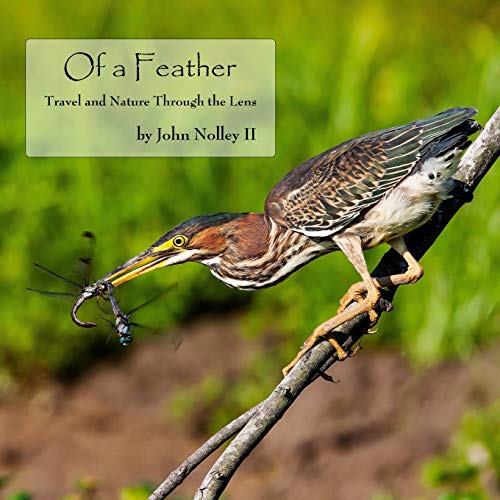 Of a Feather  Travel and Nature Through the Lens [Paperback]