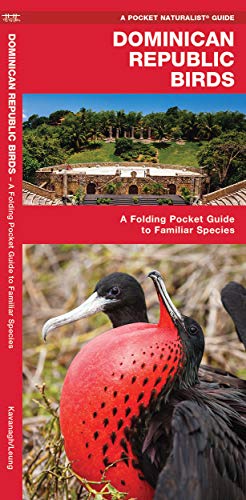 Dominican Republic Birds: A Folding Pocket Guide to Familiar Species [Pamphlet]