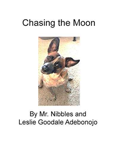 Chasing the Moon [Paperback]