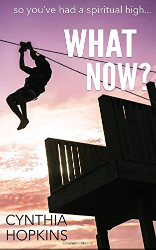 What No So You Had A Spiritual High... [Paperback]