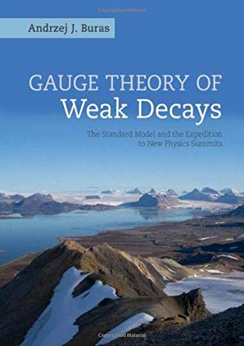 Gauge Theories of Weak Decays [Hardcover]