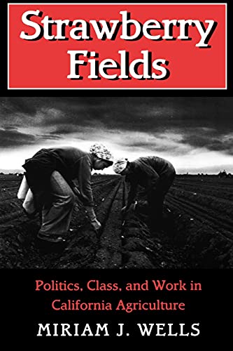 Straberry Fields Politics, Class, And Work In California Agriculture (the Anth [Paperback]