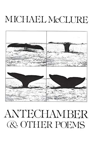 ANTECHAMBER PA [Paperback]