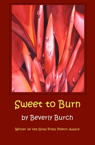 Seet To Burn [Paperback]