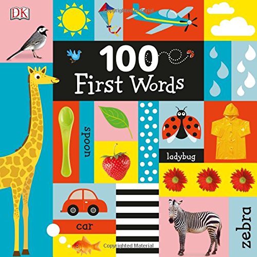 100 First Words [Board book]