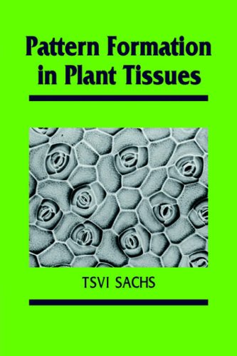 Pattern Formation in Plant Tissues [Paperback]