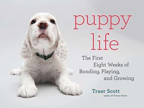 Puppy Life: The First Eight Weeks of Bonding,