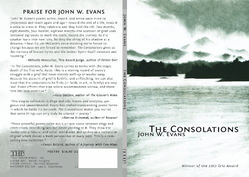 The Consolations [Paperback]