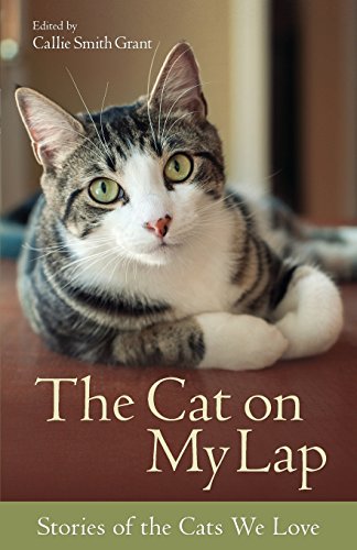 The Cat On My Lap: Stories Of The Cats We Love [Paperback]