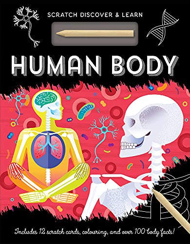 Human Body [Hardcover]