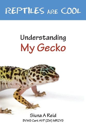 Reptiles Are Cool- Understanding My Gecko [Paperback]