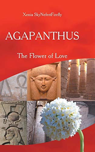 Agapanthus The Floer Of Love [Paperback]