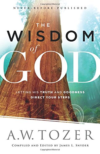 The Wisdom Of God: Letting His Truth And Goodness Direct Your Steps [Paperback]