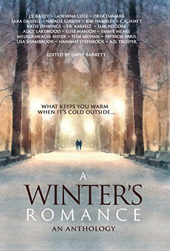 A Winter's Romance [Hardcover]