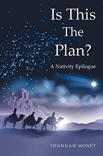 Is This the Plan  A Nativity Epilogue [Paperback]