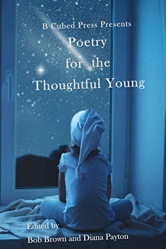 Poetry for the Thoughtful Young [Paperback]