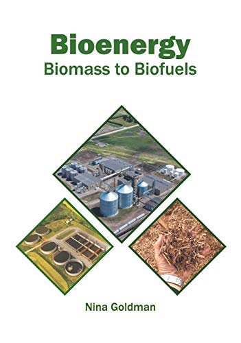 Bioenergy Biomass to Biofuels [Hardcover]