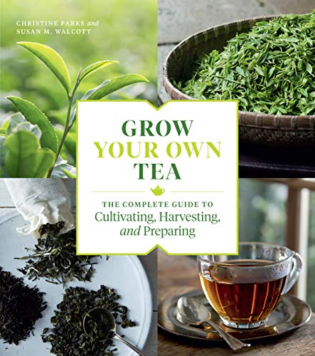 Grow Your Own Tea                        [TRADE PAPER         ]