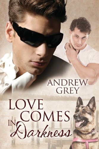 Love Comes In Darkness [Paperback]