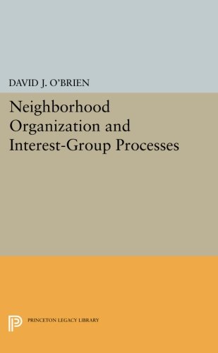 Neighborhood Organization and Interest-Group Processes [Paperback]