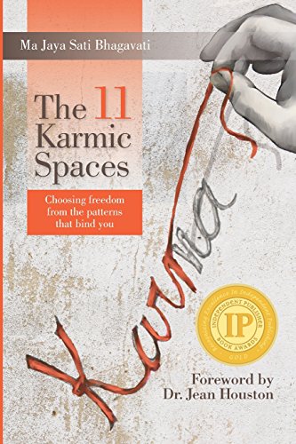 The 11 Karmic Spaces Choosing Freedom From The Patterns That Bind You [Paperback]