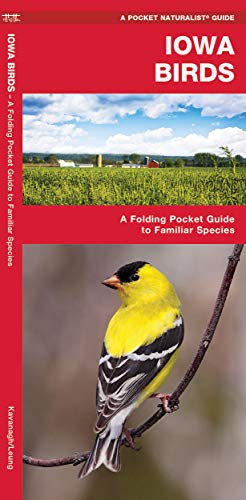 Iowa Birds: A Folding Pocket Guide to Familiar Species [Pamphlet]