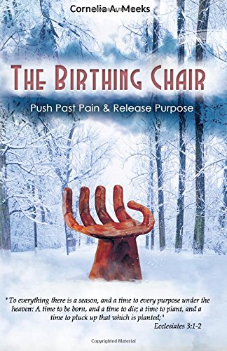 The Birthing Chair Push Past Pain & Release Purpose [Paperback]