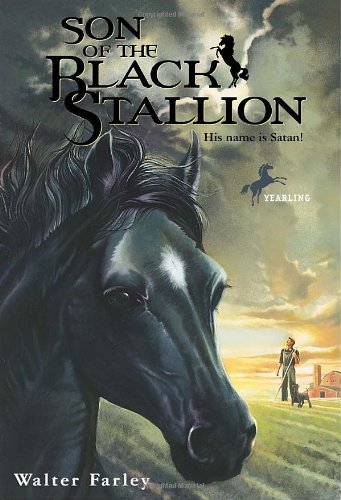 Son of the Black Stallion [Paperback]