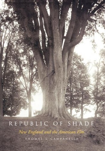 Republic of Shade Ne England and the American Elm [Paperback]