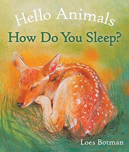 Hello Animals, How Do You Sleep? [Board book]