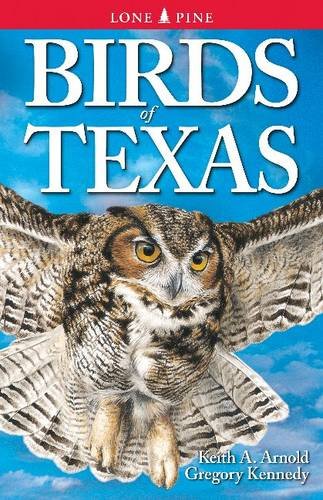 Birds Of Texas [Paperback]