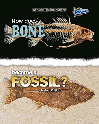 How Does A Bone Become A Fossil? (how Does It Happen) [Paperback]