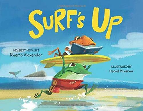 Surf's Up [Hardcover]