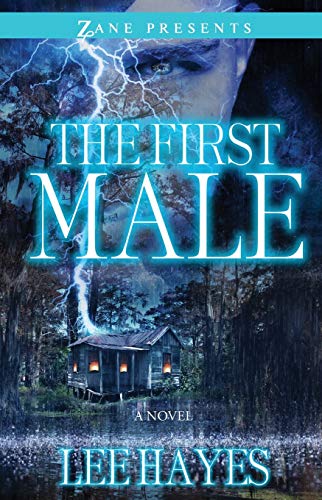 The First Male A Novel [Paperback]