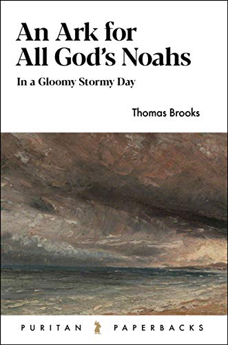 Ark for All God's Noahs : In a Gloomy, Stormy Day [Paperback]