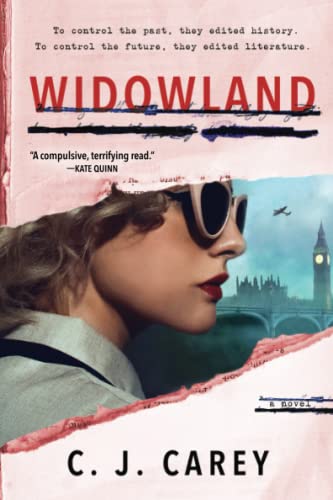 Widowland: A Novel [Paperback]