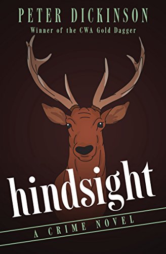 Hindsight A Crime Novel [Paperback]