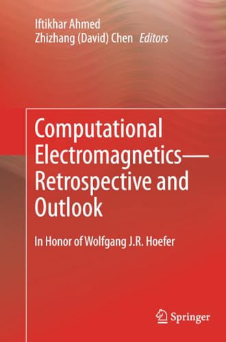 Computational ElectromagneticsRetrospective and Outlook: In Honor of Wolfgang J [Paperback]