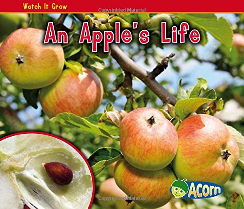 An Apple's Life (watch It Grow) [Paperback]