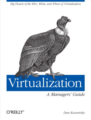 Virtualization A Manager's Guide Big Picture of the Who, What, and Where of Vi [Paperback]