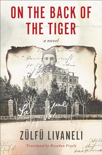 On the Back of the Tiger: A Novel [Paperback]