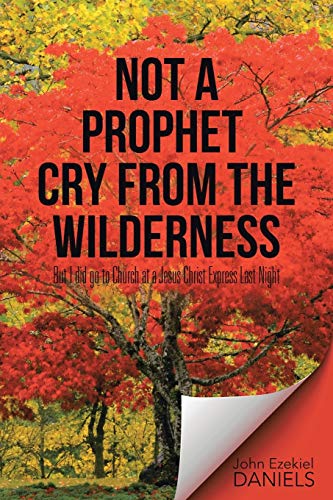 Not A Prophet Cry From The Wilderness But I Did Go To Church At A Jesus Christ  [Paperback]