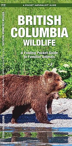 British Columbia Wildlife: A Folding Pocket Guide to Familiar Species [Pamphlet]