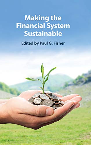 Making the Financial System Sustainable [Hardcover]